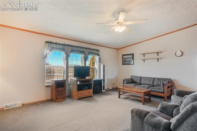 MLS Image for 19605  Oslo  ,Colorado Springs, Colorado