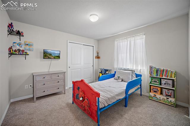 MLS Image for 6579  Lamine  ,Colorado Springs, Colorado