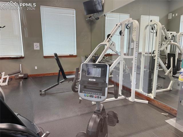 MLS Image for 4223  Alder Springs   ,Colorado Springs, Colorado