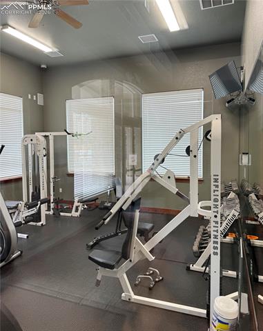 MLS Image for 4223  Alder Springs   ,Colorado Springs, Colorado