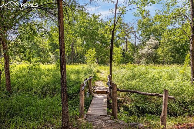 MLS Image for 3254  Apogee   ,Colorado Springs, Colorado