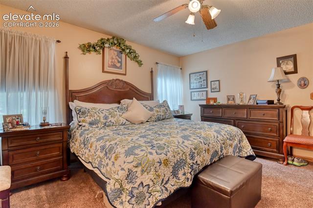 MLS Image for 5055  Wainwright  ,Colorado Springs, Colorado