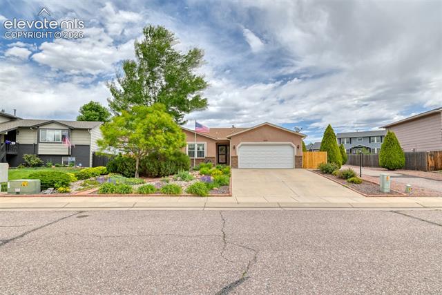 MLS Image for 5055  Wainwright  ,Colorado Springs, Colorado