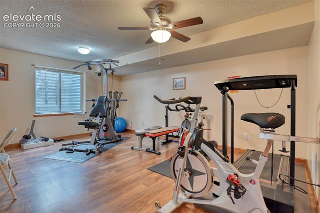 MLS Image for 5055  Wainwright  ,Colorado Springs, Colorado