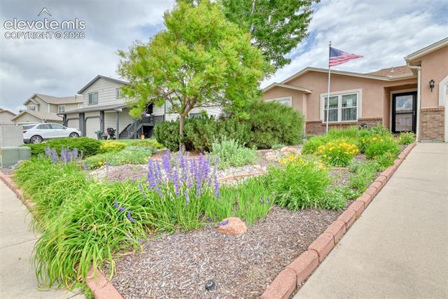MLS Image for 5055  Wainwright  ,Colorado Springs, Colorado