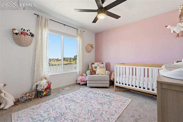 MLS Image for 1421  Will Scarlet  ,Divide, Colorado