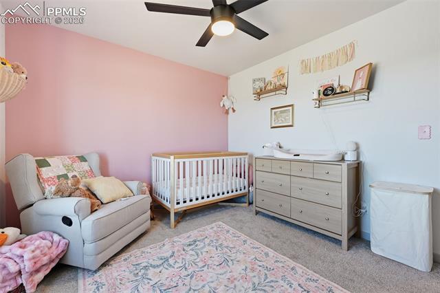 MLS Image for 1421  Will Scarlet  ,Divide, Colorado