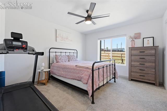 MLS Image for 1421  Will Scarlet  ,Divide, Colorado