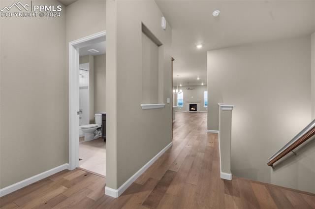 MLS Image for 9426  Wolf Valley  ,Colorado Springs, Colorado