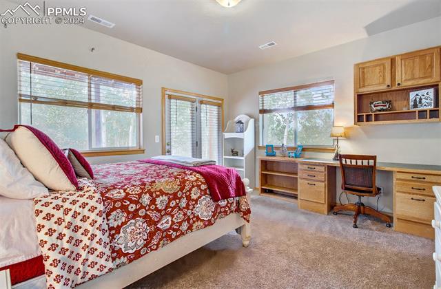 MLS Image for 221  Potlatch  ,Woodland Park, Colorado