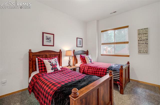 MLS Image for 221  Potlatch  ,Woodland Park, Colorado