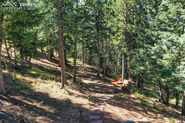 MLS Image for 221  Potlatch  ,Woodland Park, Colorado