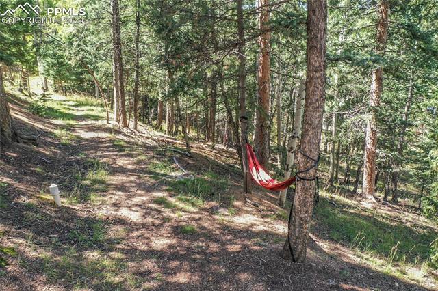 MLS Image for 221  Potlatch  ,Woodland Park, Colorado