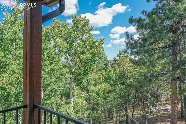 MLS Image for 221  Potlatch  ,Woodland Park, Colorado