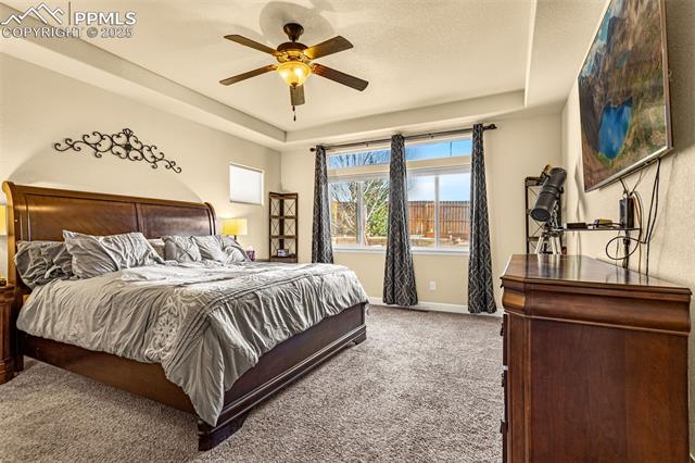 MLS Image for 9113  Pennycress  ,Colorado Springs, Colorado