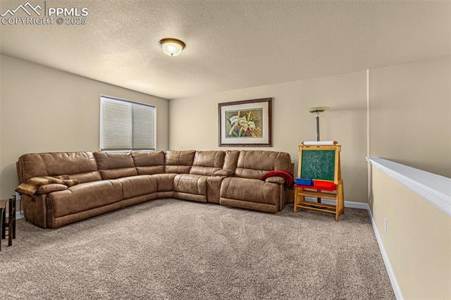 MLS Image for 9113  Pennycress  ,Colorado Springs, Colorado