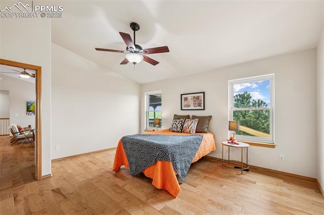 MLS Image for 7755  Pine Cone  ,Colorado Springs, Colorado