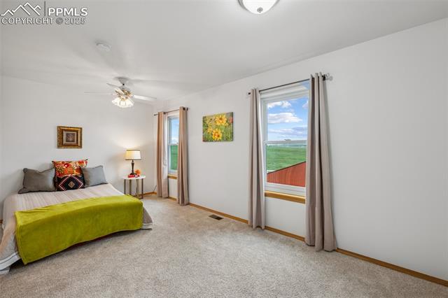 MLS Image for 7755  Pine Cone  ,Colorado Springs, Colorado
