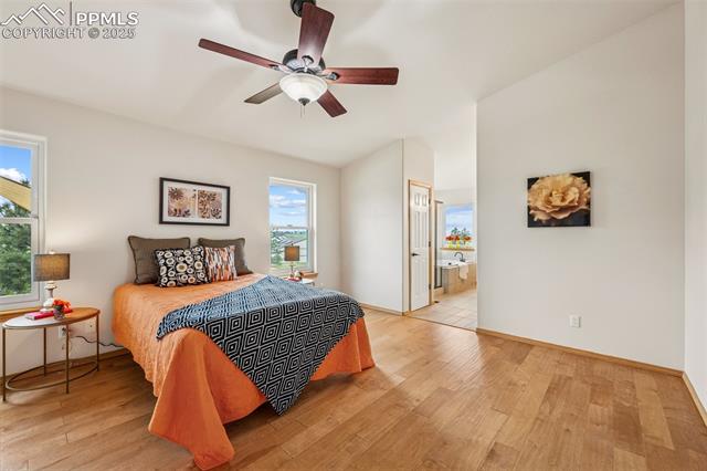 MLS Image for 7755  Pine Cone  ,Colorado Springs, Colorado