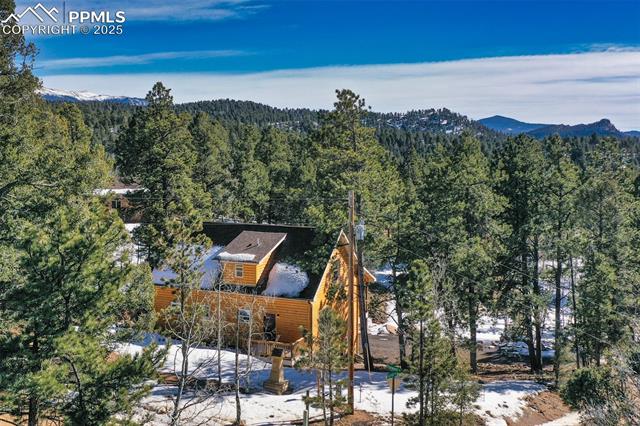 MLS Image for 18  Garnet  ,Florissant, Colorado