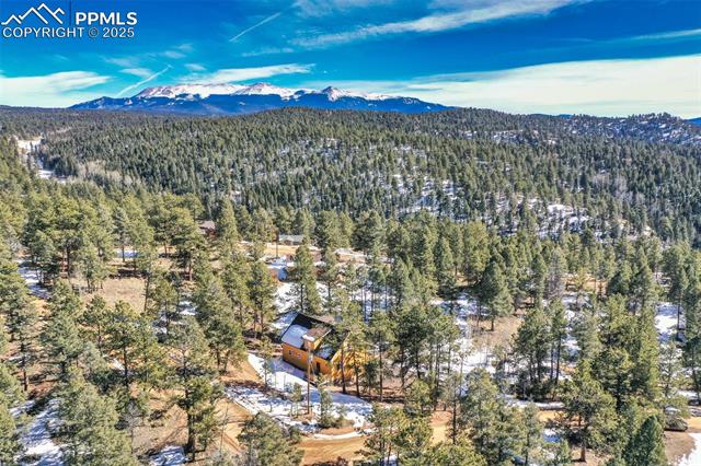 MLS Image for 18  Garnet  ,Florissant, Colorado