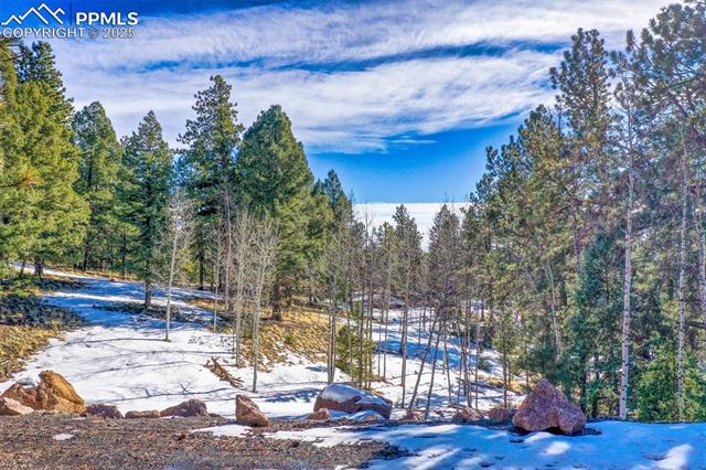 MLS Image for 18  Garnet  ,Florissant, Colorado