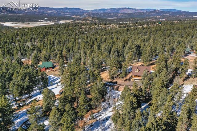 MLS Image for 18  Garnet  ,Florissant, Colorado