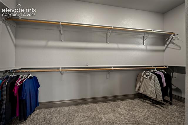 MLS Image for 4045  Ramshorn  ,Colorado Springs, Colorado