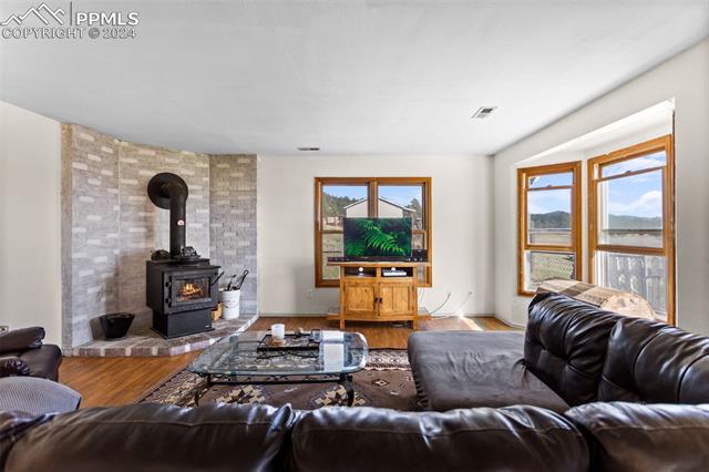 MLS Image for 54  Dillon  ,Florissant, Colorado