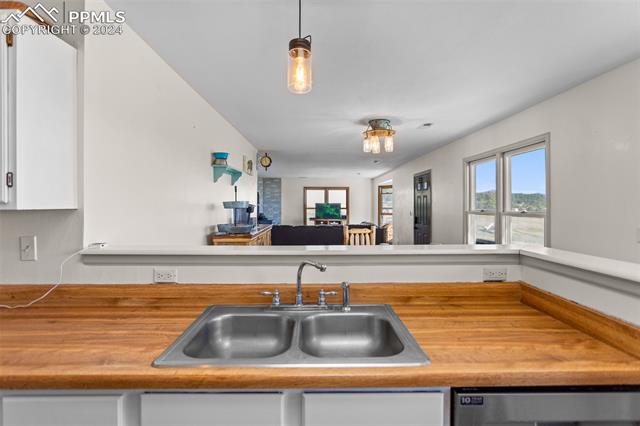 MLS Image for 54  Dillon  ,Florissant, Colorado