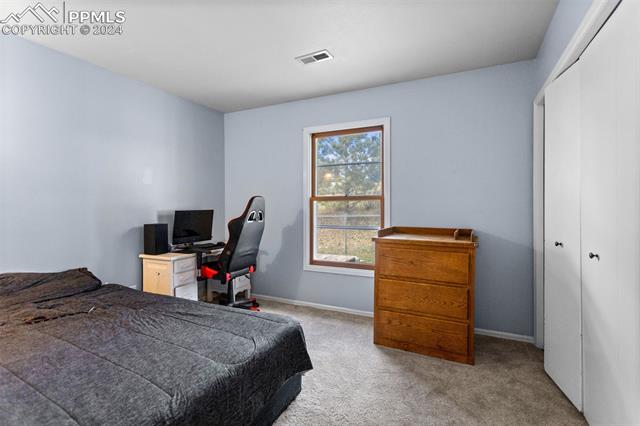 MLS Image for 54  Dillon  ,Florissant, Colorado