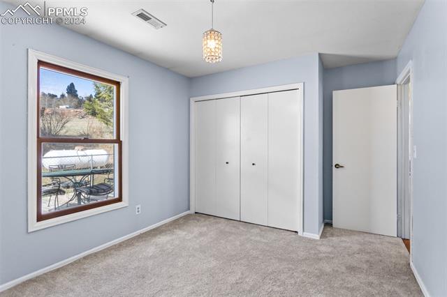 MLS Image for 54  Dillon  ,Florissant, Colorado