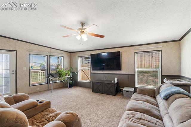 MLS Image for 23739  Redtail  ,Colorado Springs, Colorado