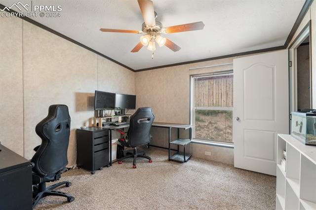 MLS Image for 23739  Redtail  ,Colorado Springs, Colorado