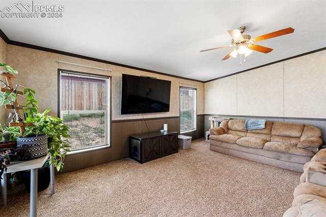 MLS Image for 23739  Redtail  ,Colorado Springs, Colorado