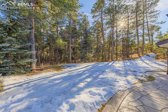 MLS Image for 8855  Aspen Hills  ,Colorado Springs, Colorado