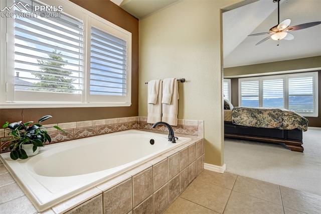 MLS Image for 1445  Almagre Peak  ,Colorado Springs, Colorado