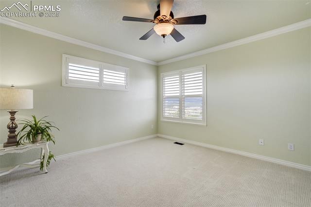 MLS Image for 1445  Almagre Peak  ,Colorado Springs, Colorado