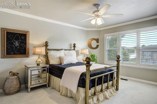 MLS Image for 1445  Almagre Peak  ,Colorado Springs, Colorado