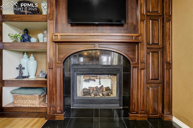 MLS Image for 1445  Almagre Peak  ,Colorado Springs, Colorado