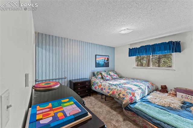 MLS Image for 1210 W Lorraine  ,Woodland Park, Colorado