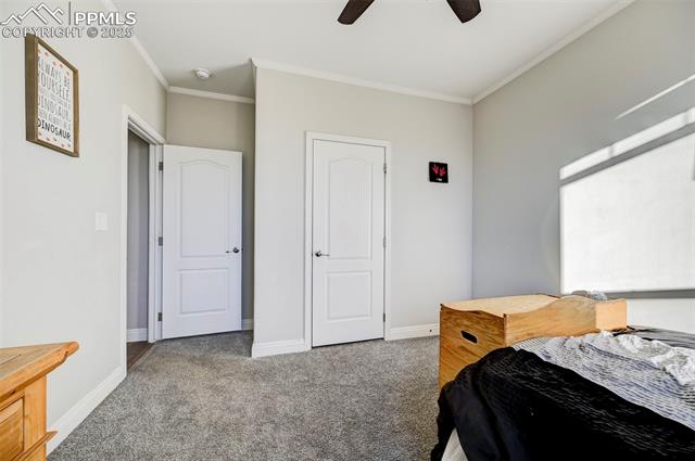 MLS Image for 1416  Spotted Owl  ,Calhan, Colorado