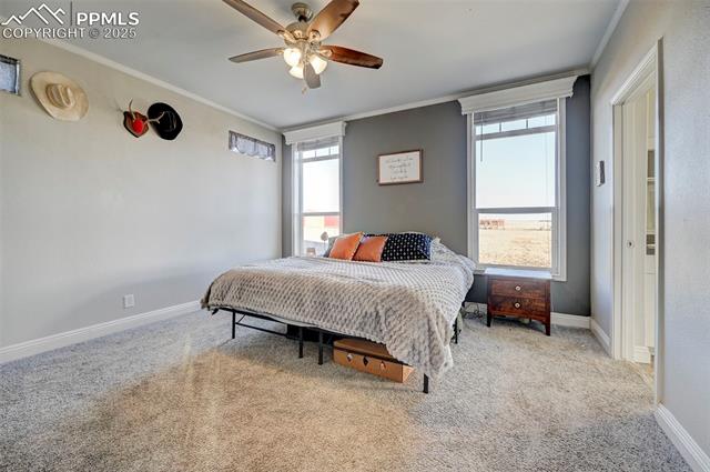 MLS Image for 1416  Spotted Owl  ,Calhan, Colorado