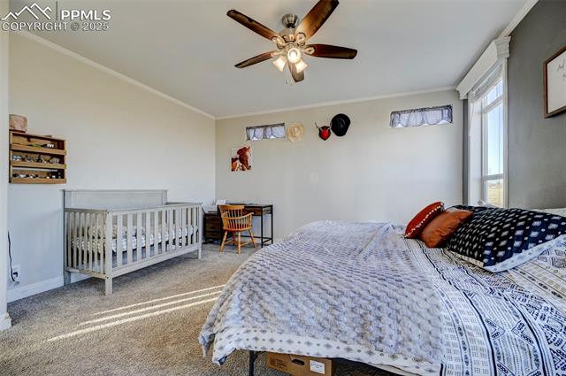 MLS Image for 1416  Spotted Owl  ,Calhan, Colorado
