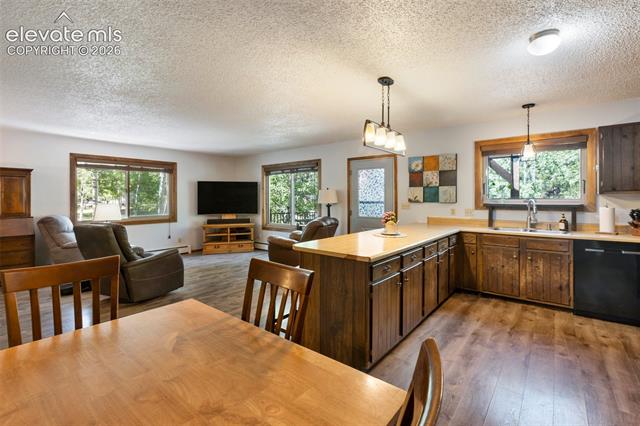 MLS Image for 835 E Northwoods  ,Woodland Park, Colorado