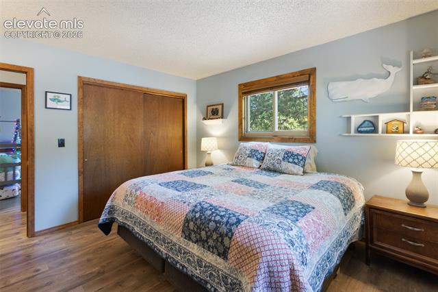 MLS Image for 835 E Northwoods  ,Woodland Park, Colorado