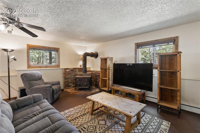 MLS Image for 835 E Northwoods  ,Woodland Park, Colorado