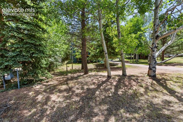 MLS Image for 835 E Northwoods  ,Woodland Park, Colorado