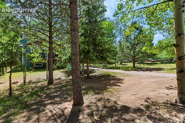 MLS Image for 835 E Northwoods  ,Woodland Park, Colorado