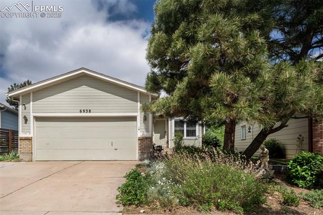 6938  Big Timber  , colorado springs  House Search MLS Picture